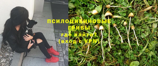 спайс Балабаново