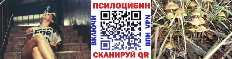 Галлюциногенные грибы мицелий  что такое наркотик  Светогорск 